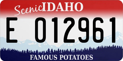 ID license plate E012961
