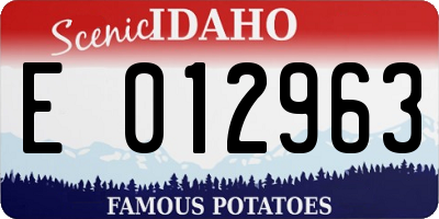 ID license plate E012963