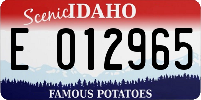 ID license plate E012965