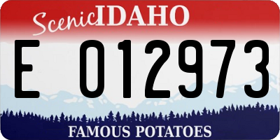 ID license plate E012973