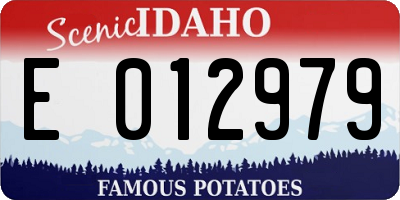 ID license plate E012979