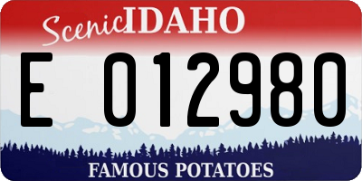 ID license plate E012980