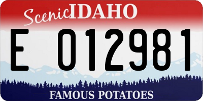 ID license plate E012981