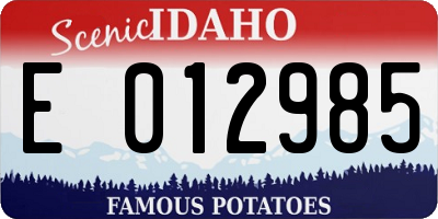 ID license plate E012985