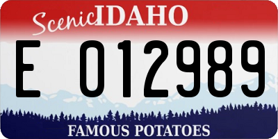 ID license plate E012989