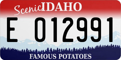 ID license plate E012991