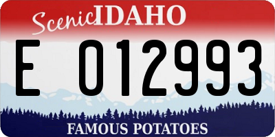 ID license plate E012993