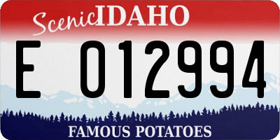 ID license plate E012994