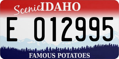 ID license plate E012995