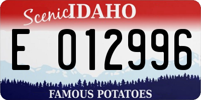 ID license plate E012996