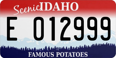 ID license plate E012999