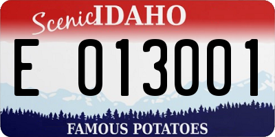ID license plate E013001