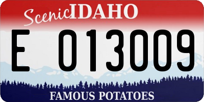 ID license plate E013009