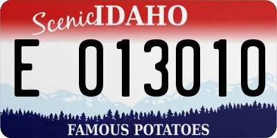 ID license plate E013010