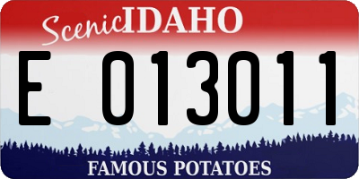 ID license plate E013011