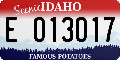 ID license plate E013017