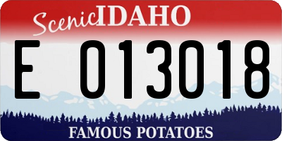 ID license plate E013018