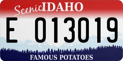 ID license plate E013019