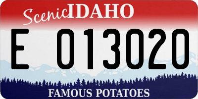ID license plate E013020