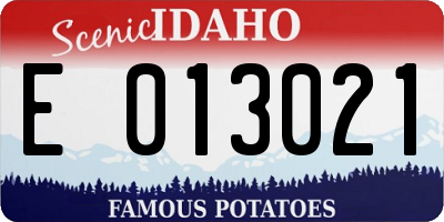 ID license plate E013021