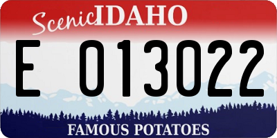 ID license plate E013022