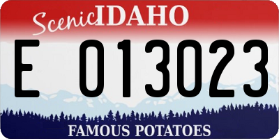 ID license plate E013023