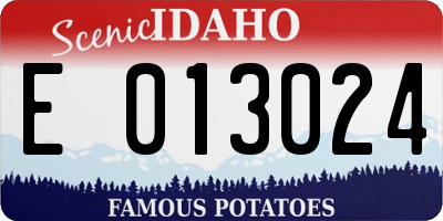 ID license plate E013024