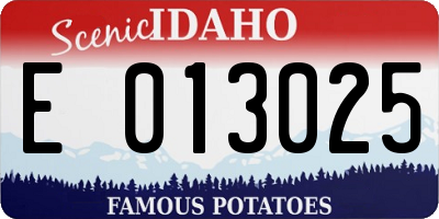ID license plate E013025
