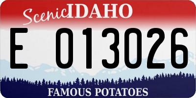 ID license plate E013026