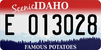 ID license plate E013028