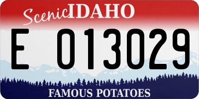 ID license plate E013029