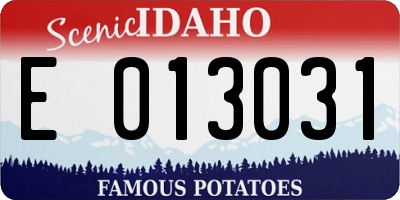 ID license plate E013031