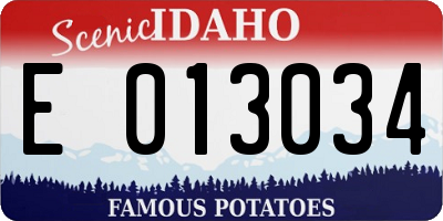 ID license plate E013034
