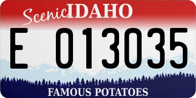 ID license plate E013035