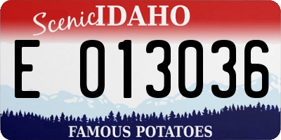 ID license plate E013036