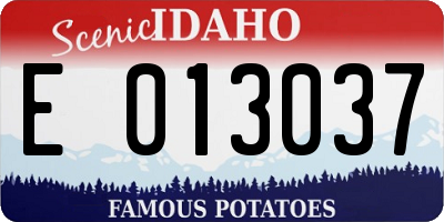 ID license plate E013037