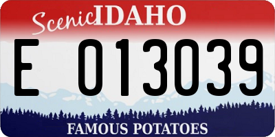 ID license plate E013039