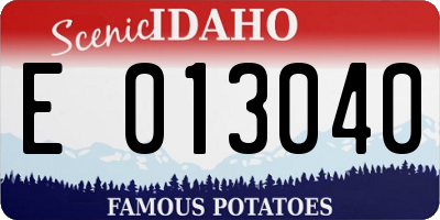 ID license plate E013040