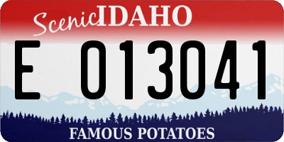 ID license plate E013041