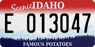 ID license plate E013047