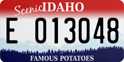 ID license plate E013048