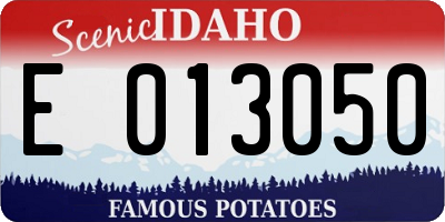 ID license plate E013050