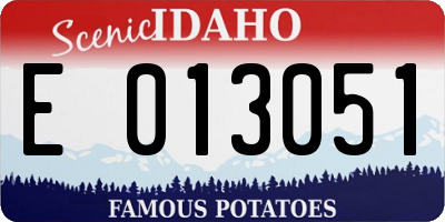 ID license plate E013051