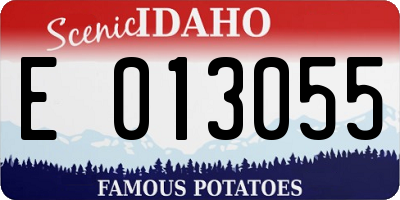 ID license plate E013055