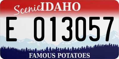 ID license plate E013057