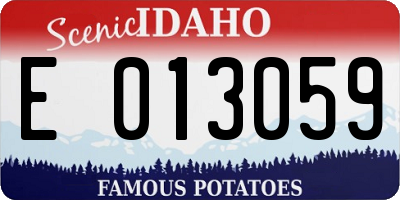 ID license plate E013059