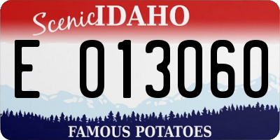 ID license plate E013060