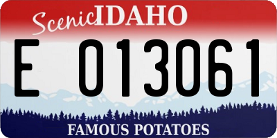 ID license plate E013061