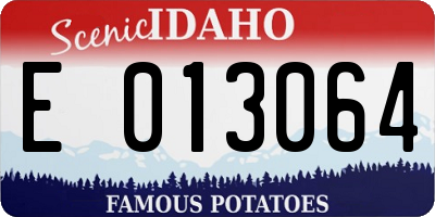 ID license plate E013064