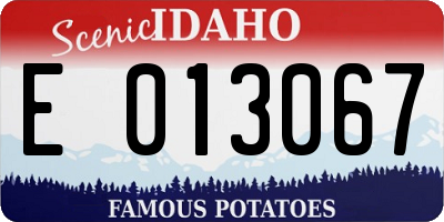 ID license plate E013067